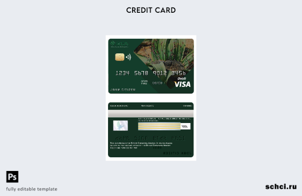 цифровая загрузка шаблона карты Visa коммерческого банка Анголы